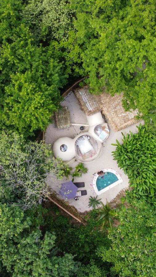 Vila Nosara Satori Bubbles Exteriér fotografie